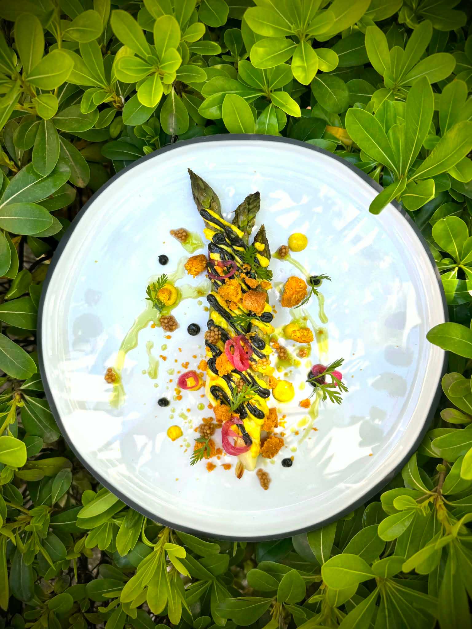 Asperges, condiment ail noir et curry