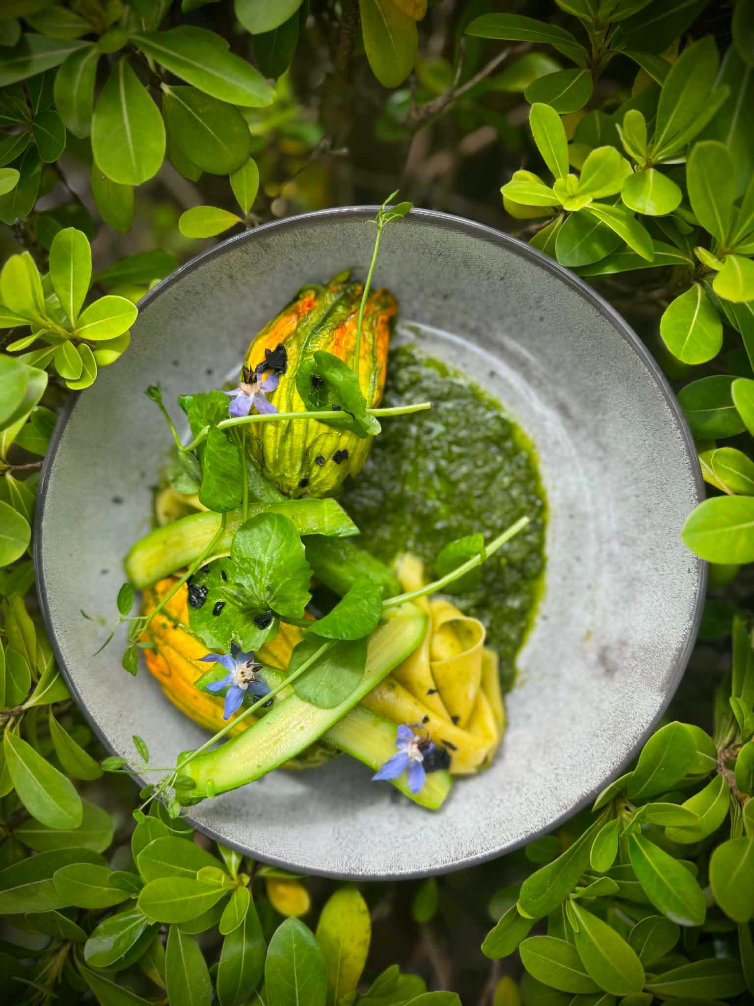 Fleur de courgette farcie ricotta, pignons et pesto basilic