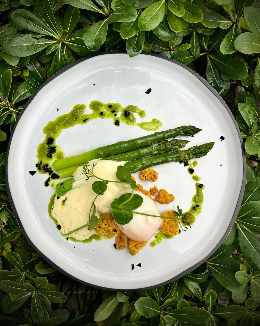 Asperges de saison
